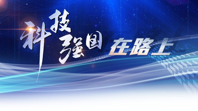 智能客服系统：如何选择合适的批发价格**